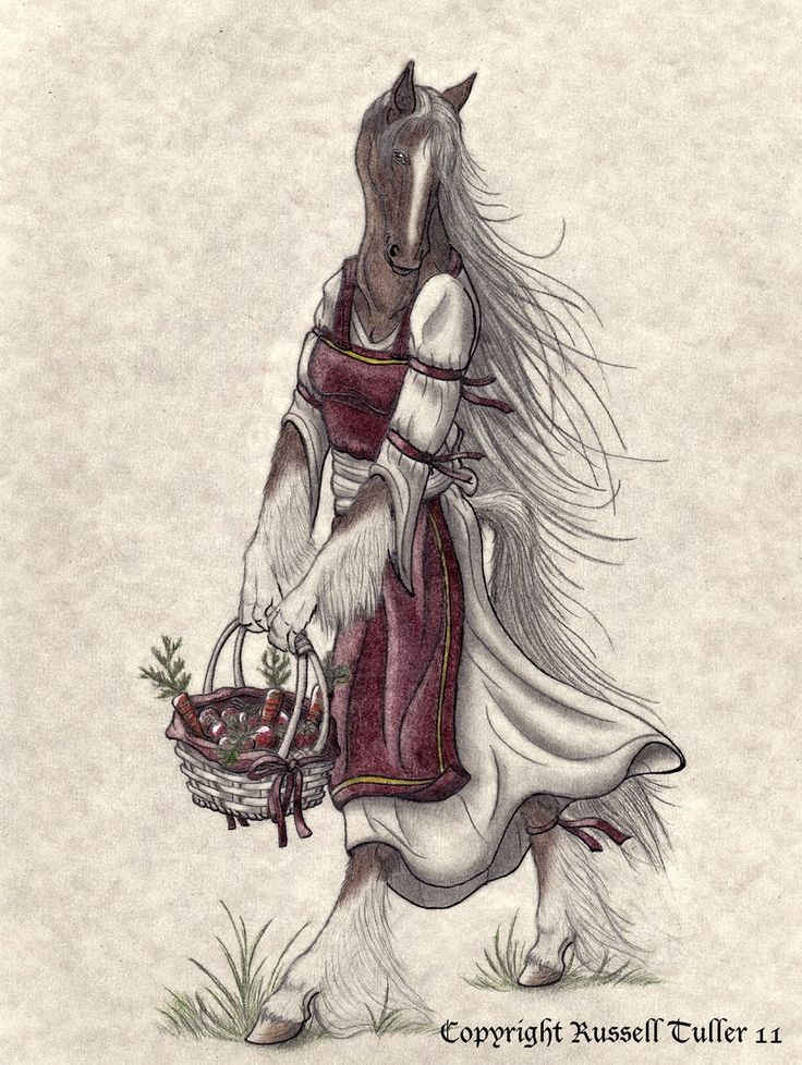 Bellisima Caravida