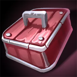 Disguise Kit