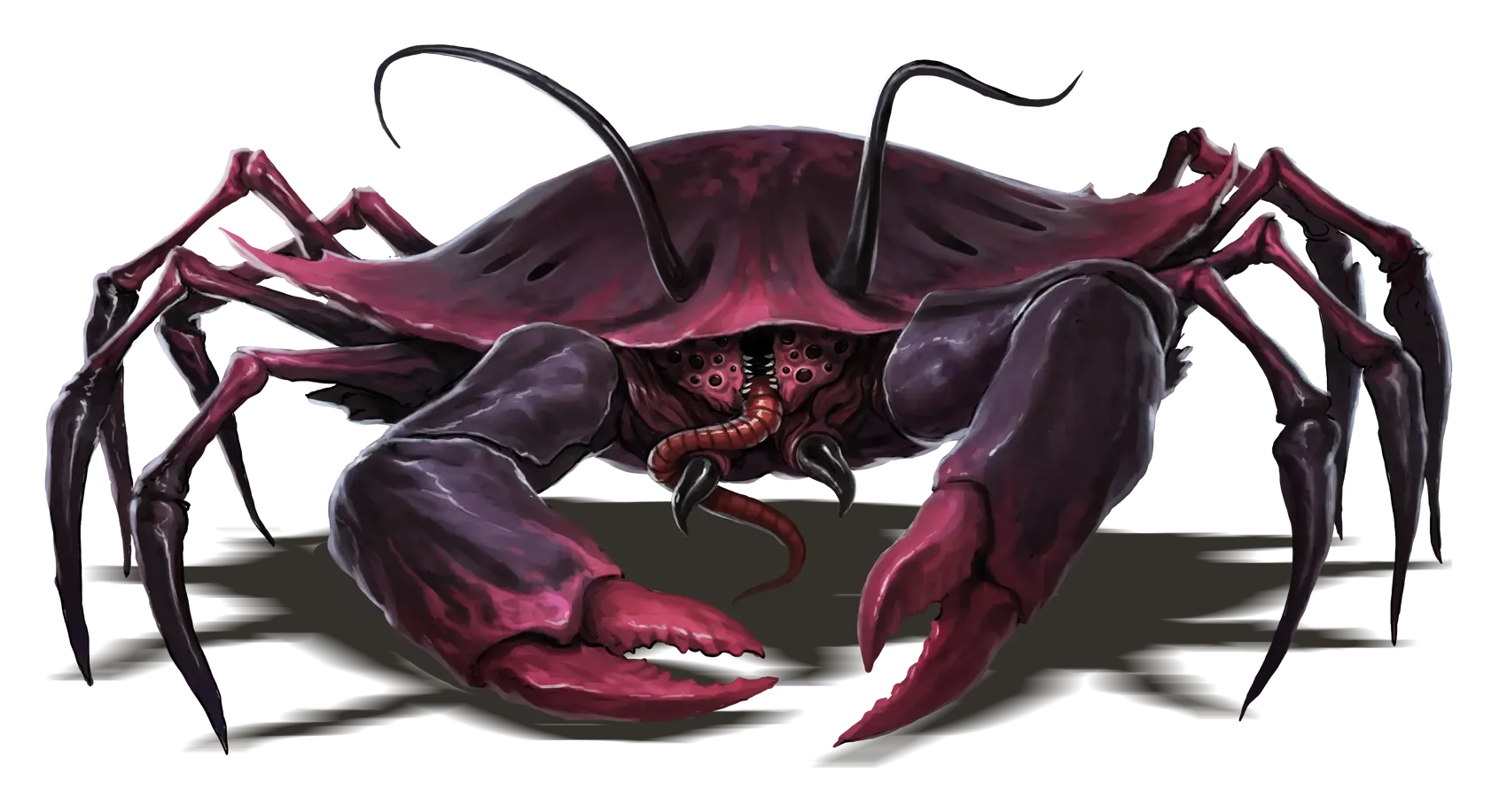 cave-fisher.webp#.webp