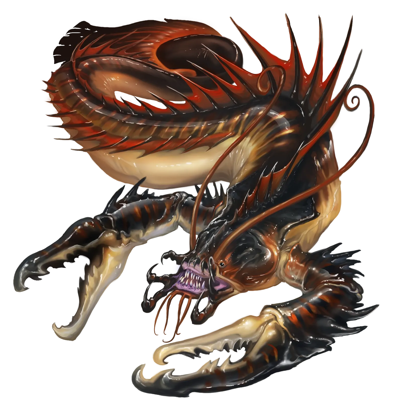 reefclaw.webp#.webp