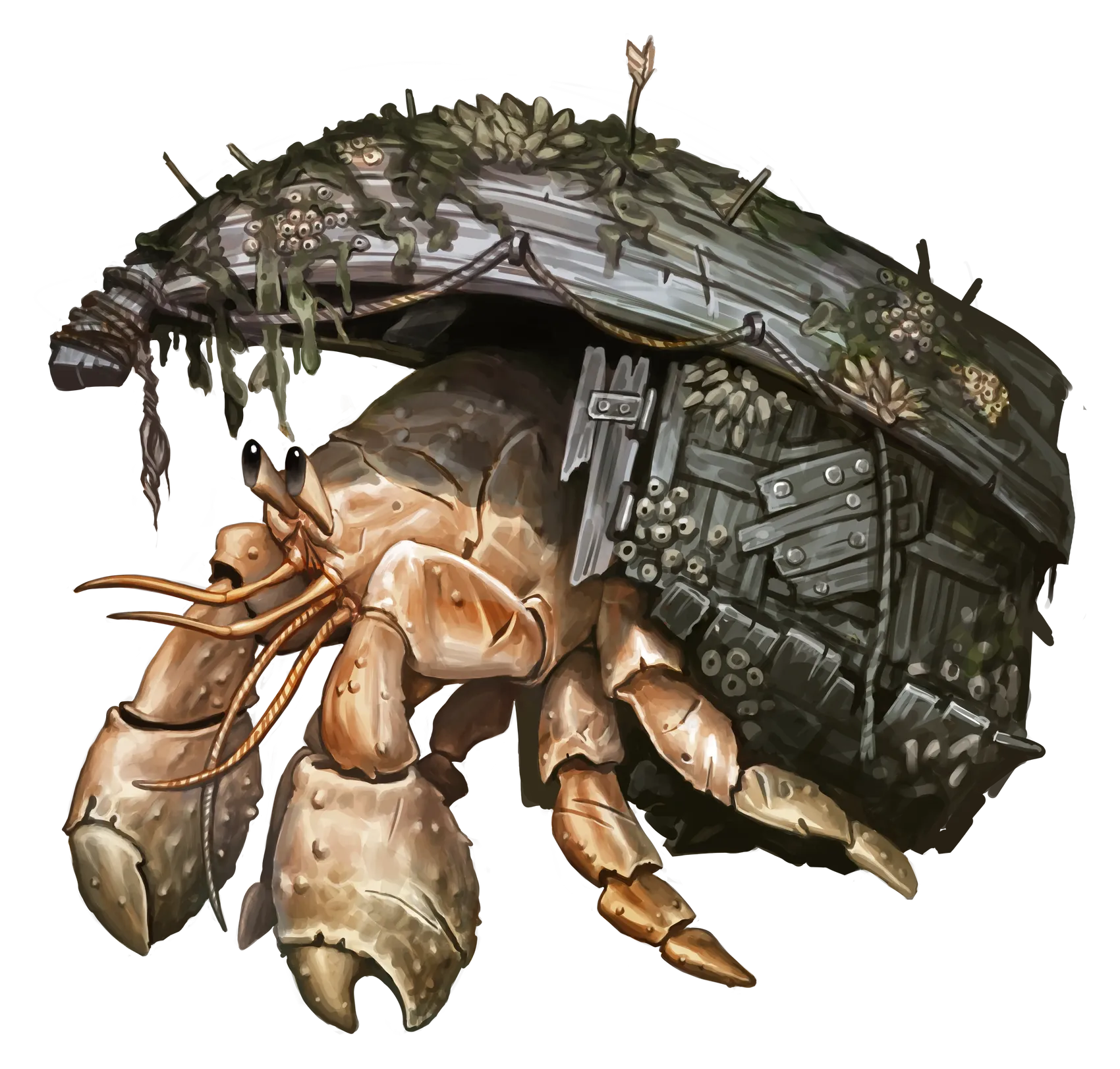 hermit-crab-giant.webp#.webp
