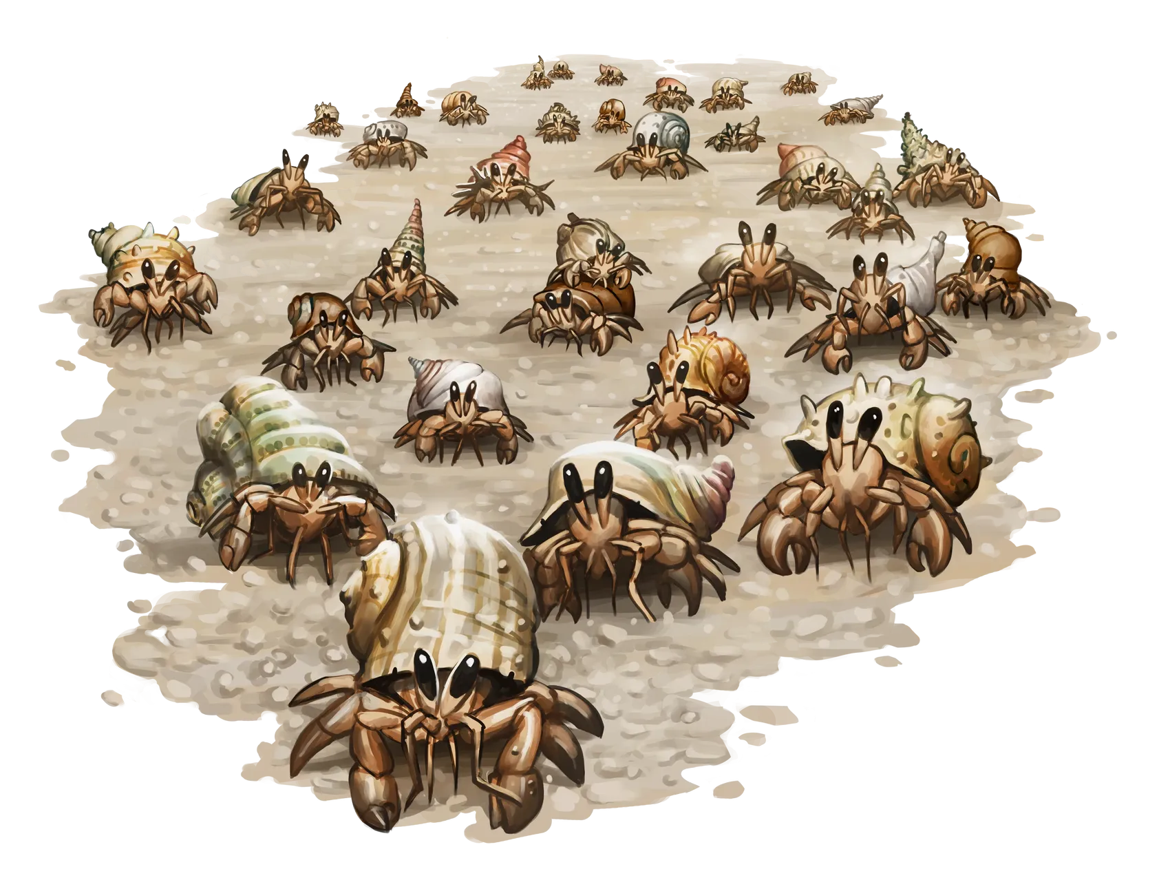 hermit-crab-swarm.webp#.webp