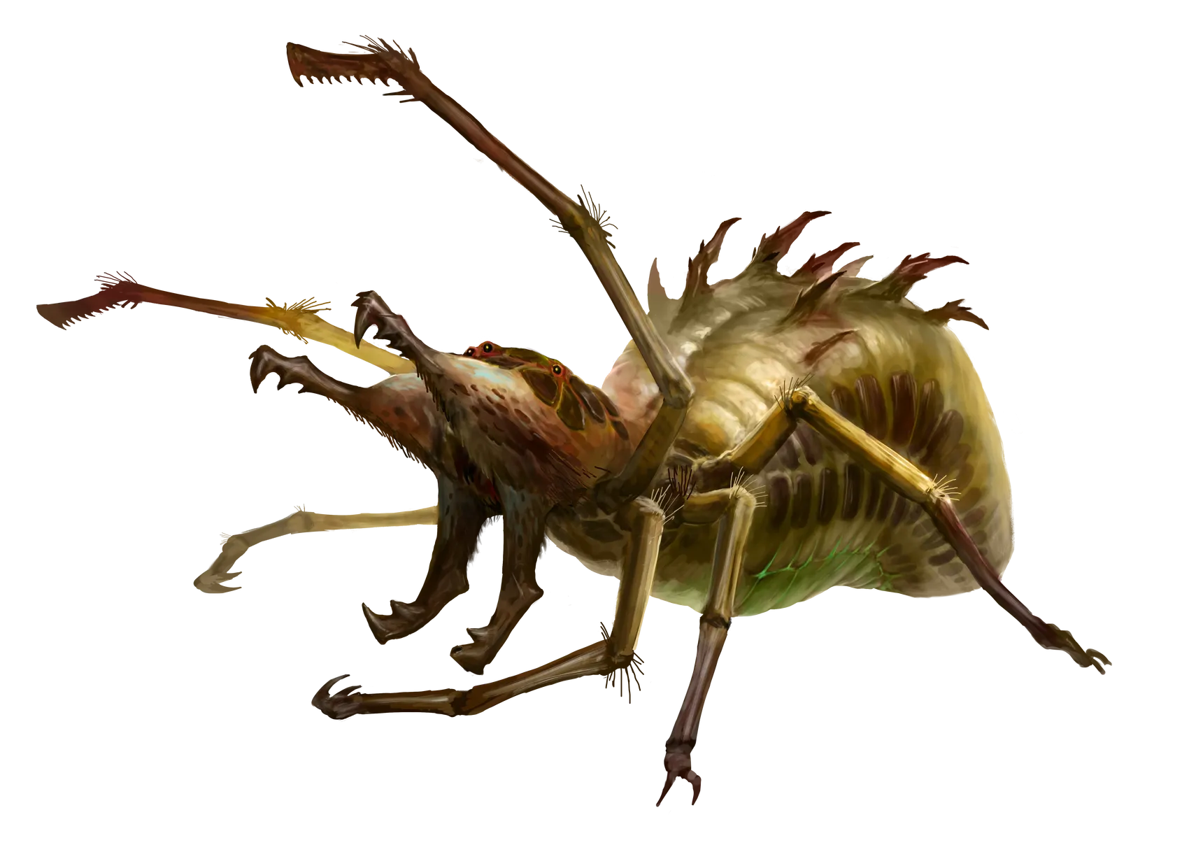 Habilithid