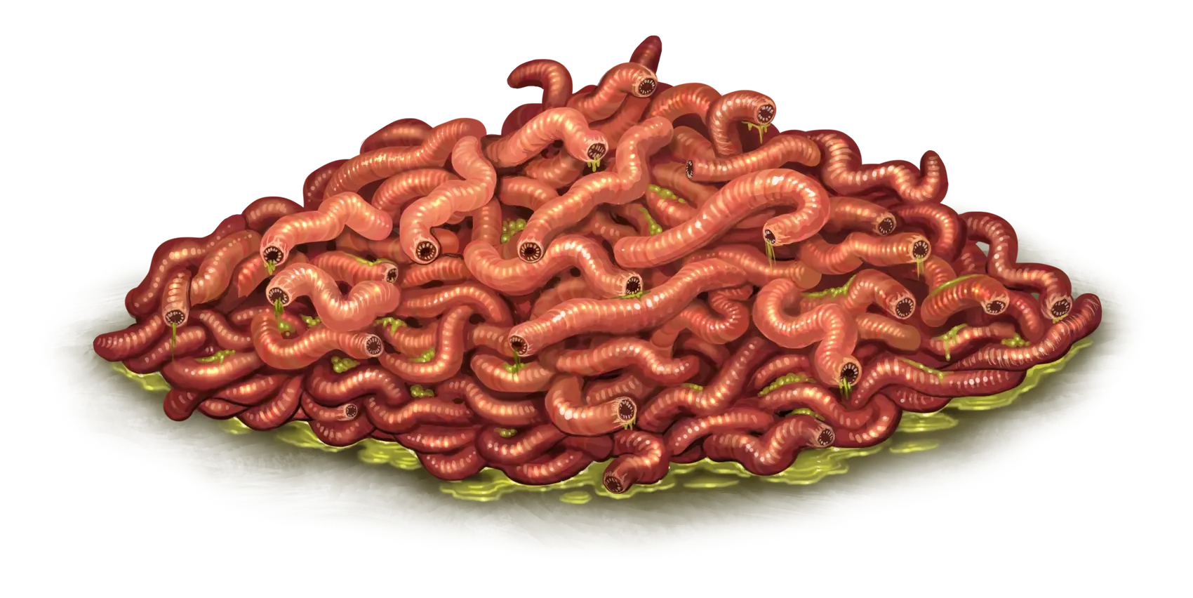 empress-worm-bore-swarm.webp#.webp