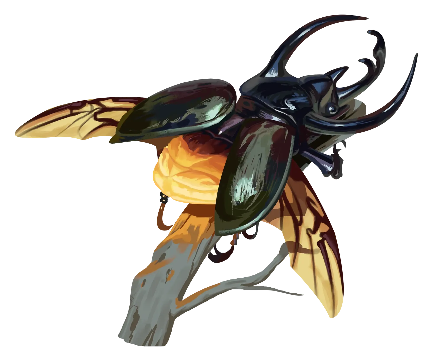flash-beetle.webp#.webp