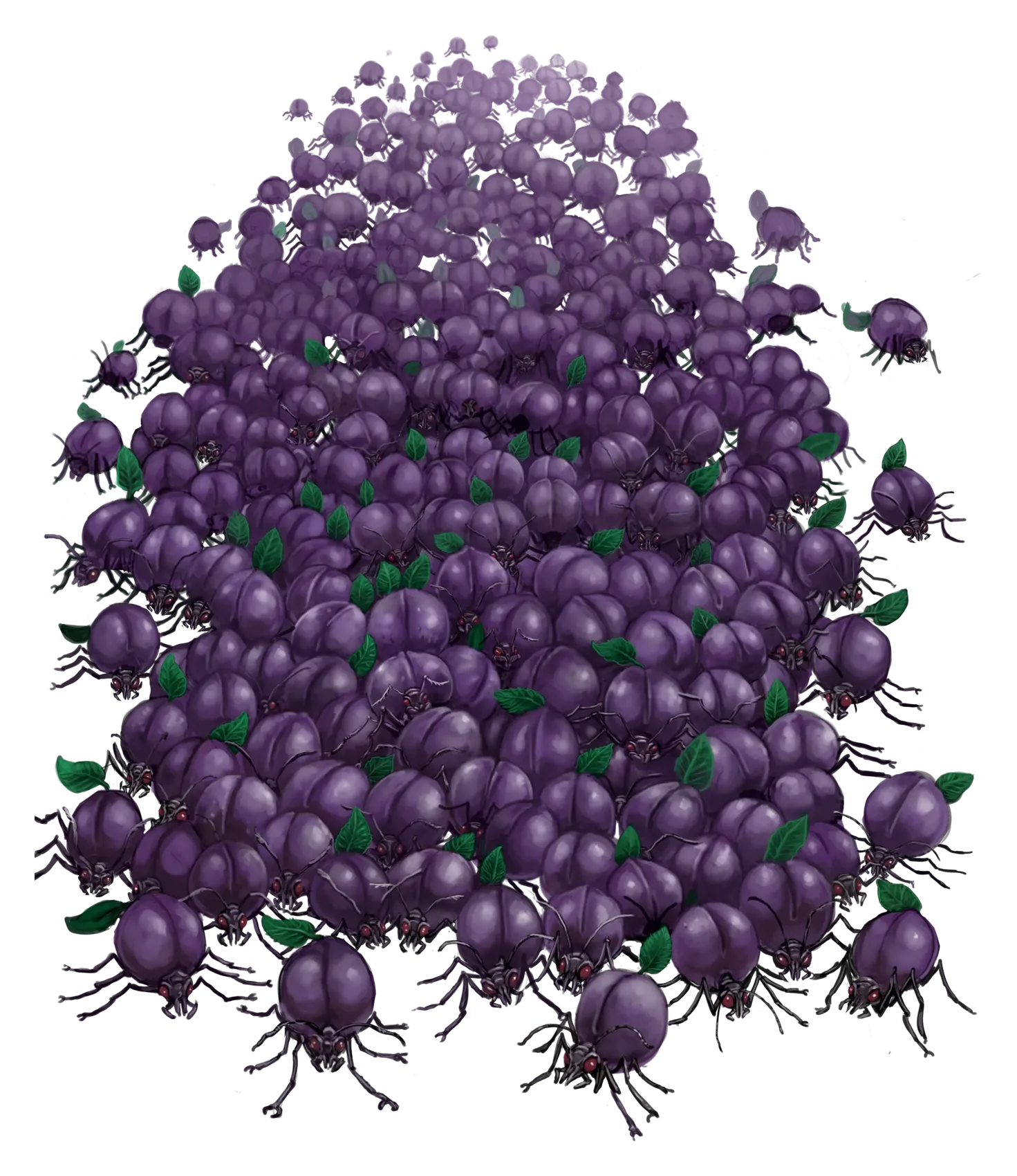 Sportlebore Swarm