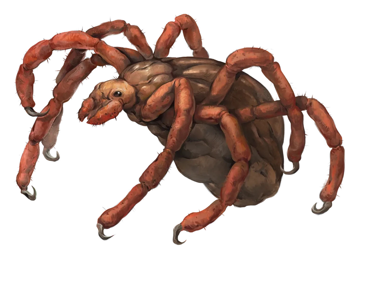 tick-giant.webp#.webp