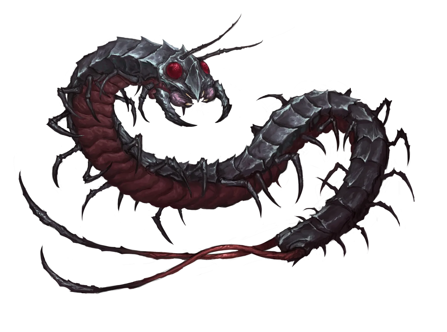 whiptail-centipede-giant.webp#.webp