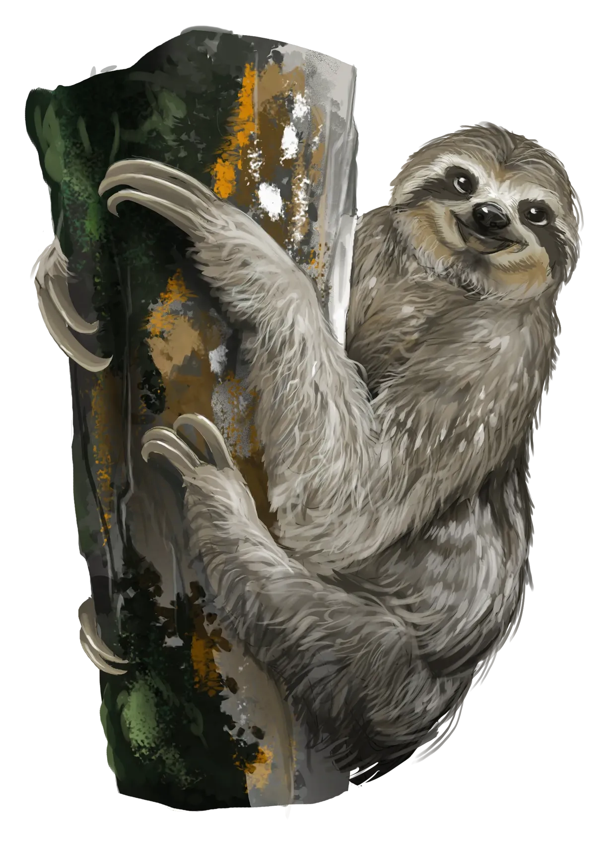 three-toed-sloth.webp#.webp