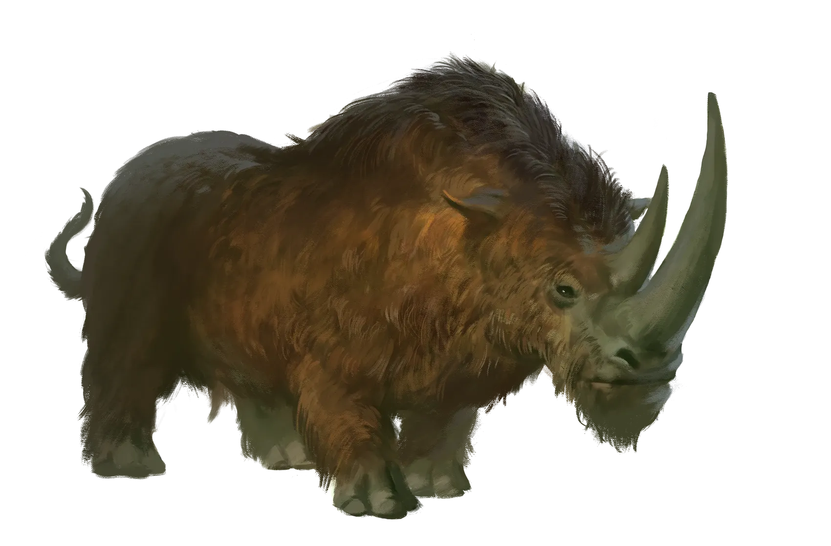 wooly-rhinoceros.webp#.webp