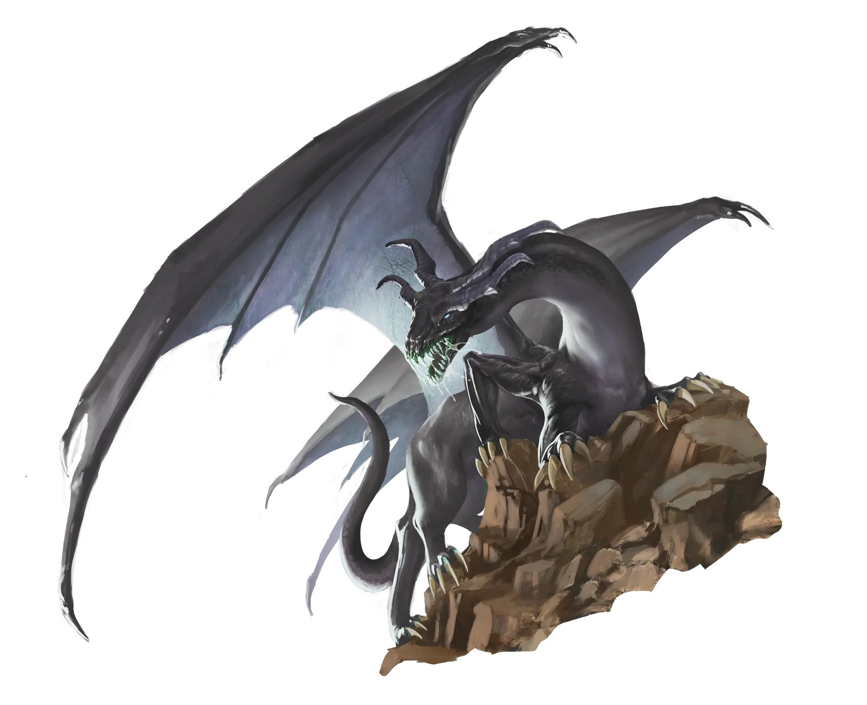 dracolisk-white.webp#.webp