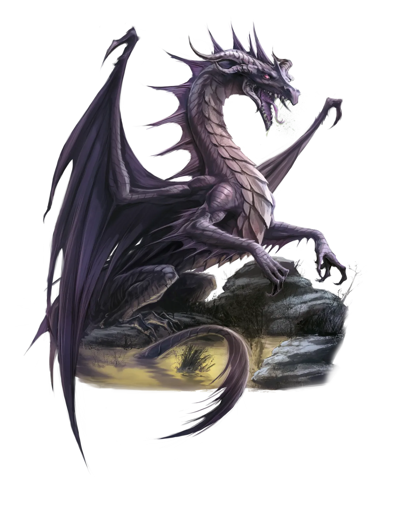 dragon-black-adult.webp#.webp
