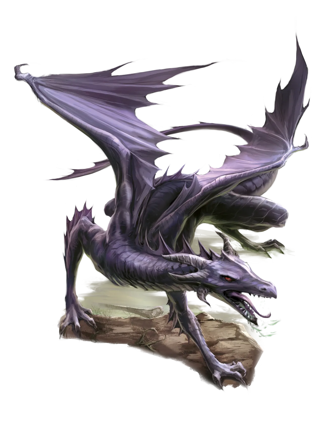 dragon-black-young.webp#.webp