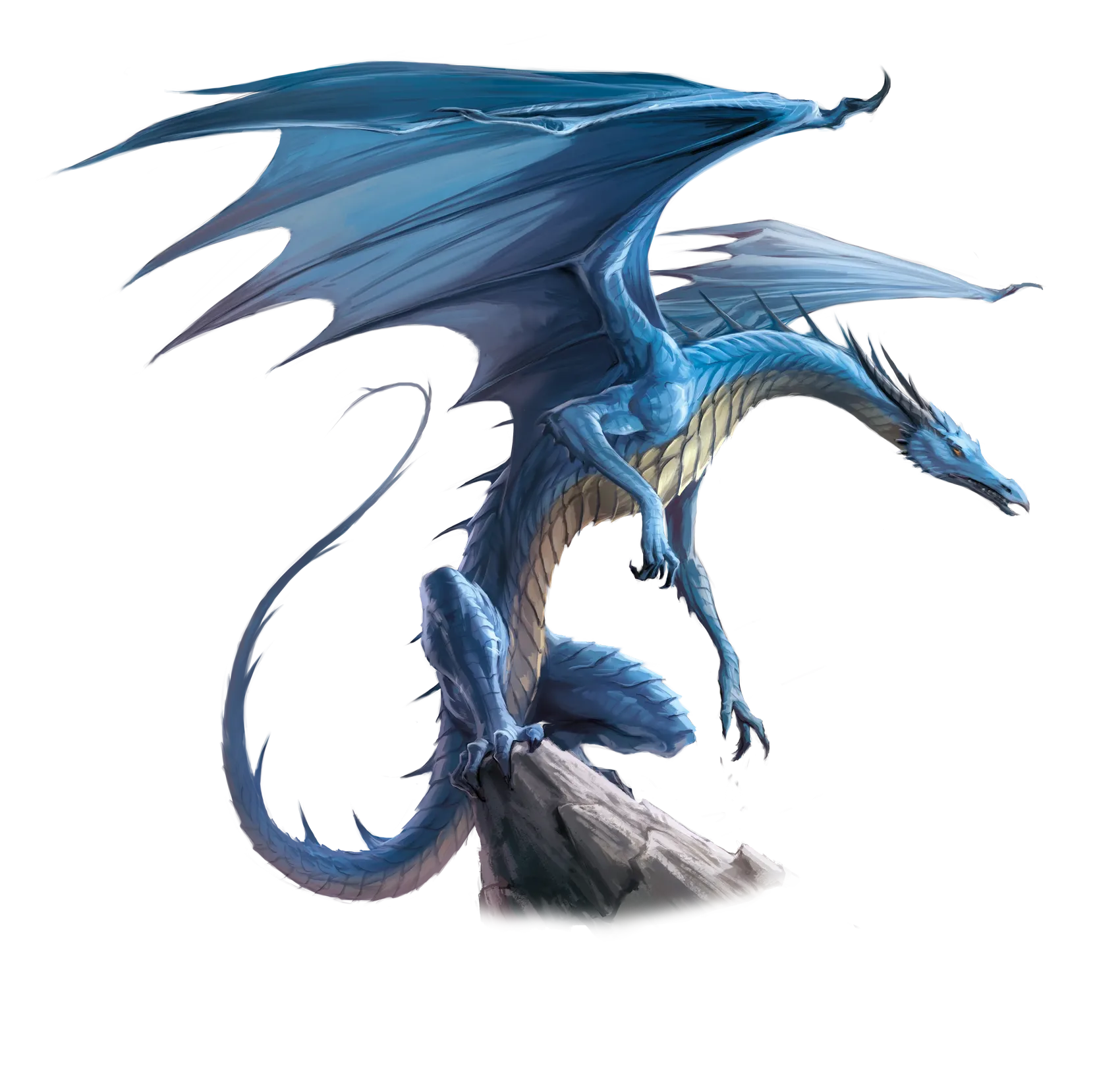 dragon-blue-adult.webp#.webp