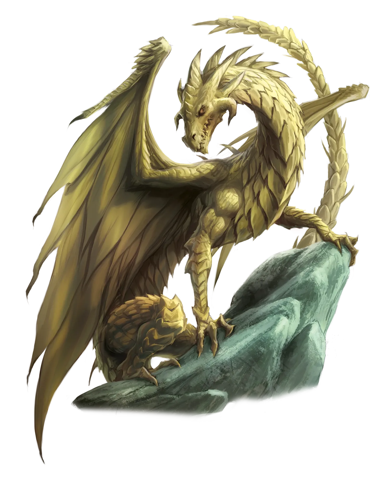 dragon-brass-adult.webp#.webp