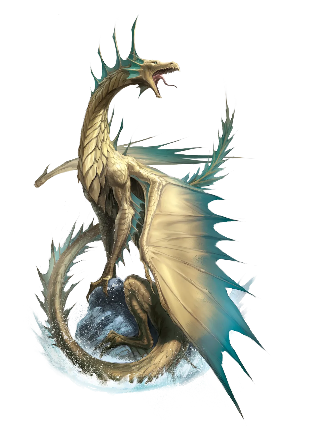 dragon-bronze-adult.webp#.webp
