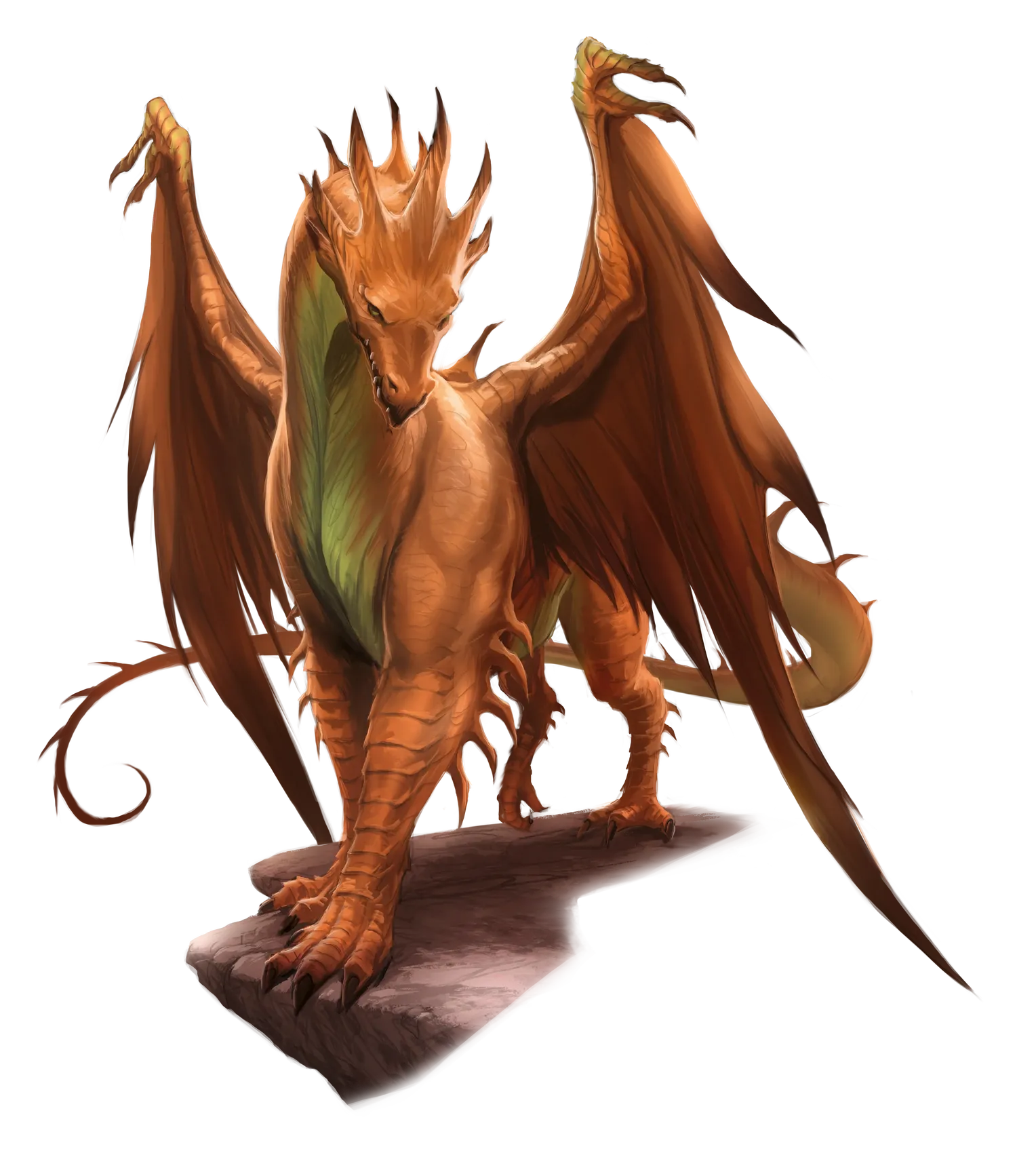 dragon-copper-adult.webp#.webp