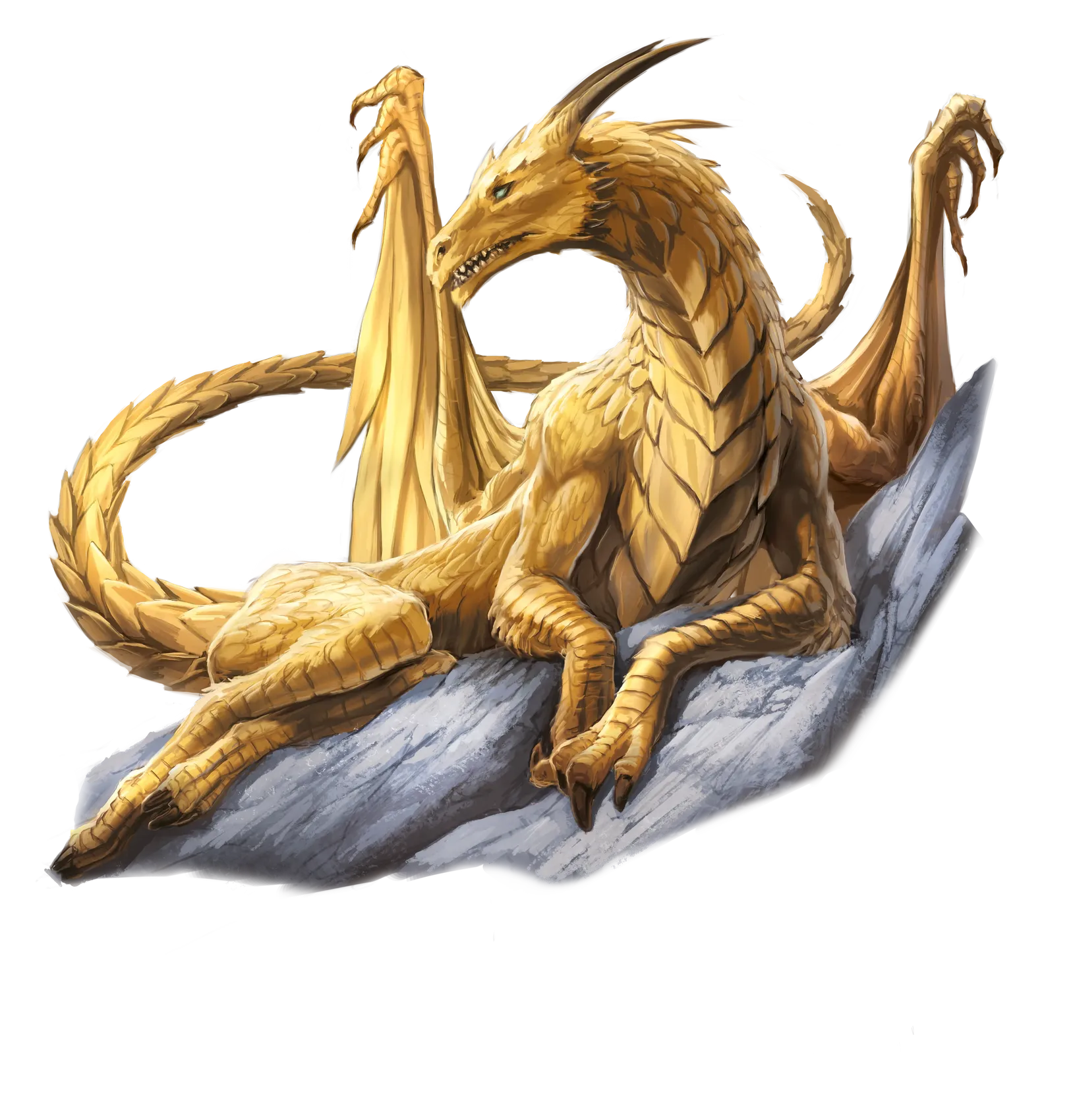dragon-gold-adult.webp#.webp