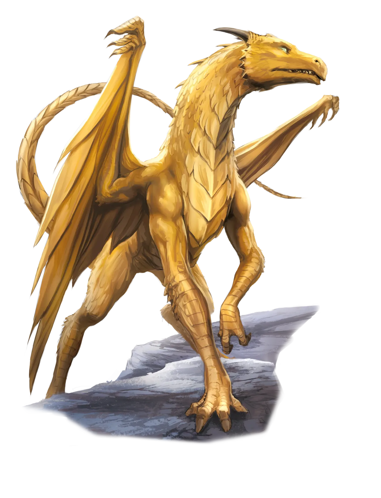 dragon-gold-young.webp#.webp