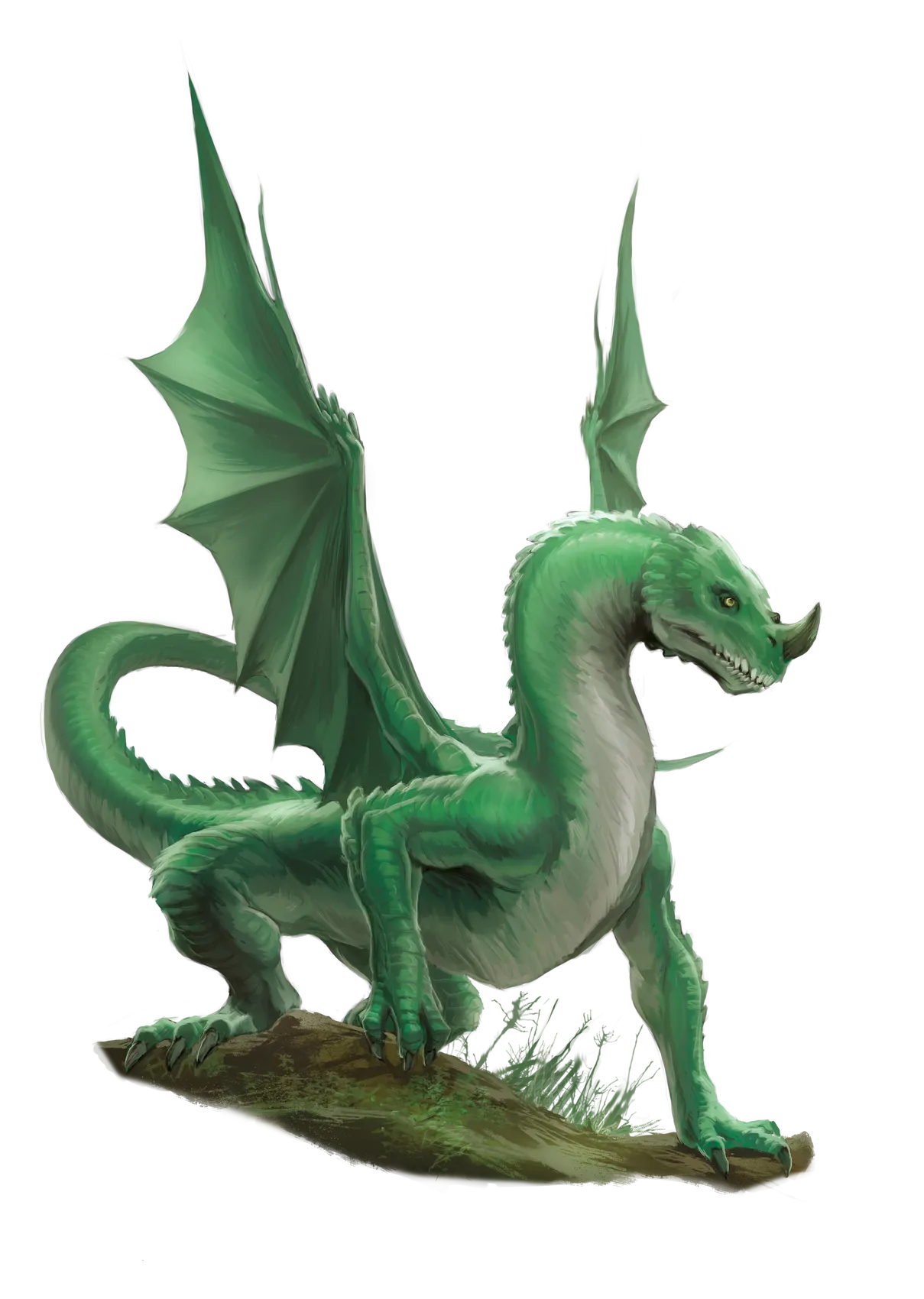 dragon-green-young.webp#.webp