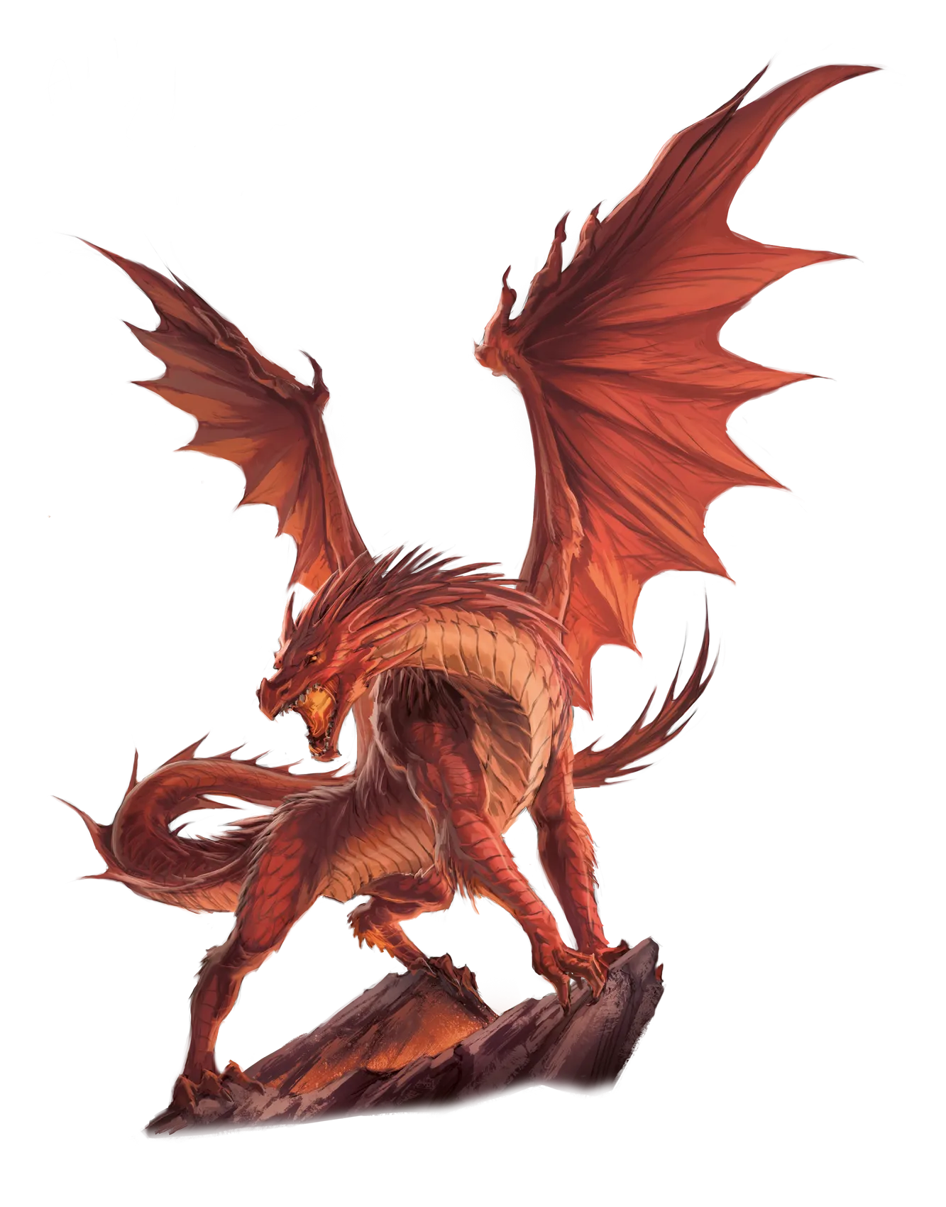dragon-red-adult.webp#.webp