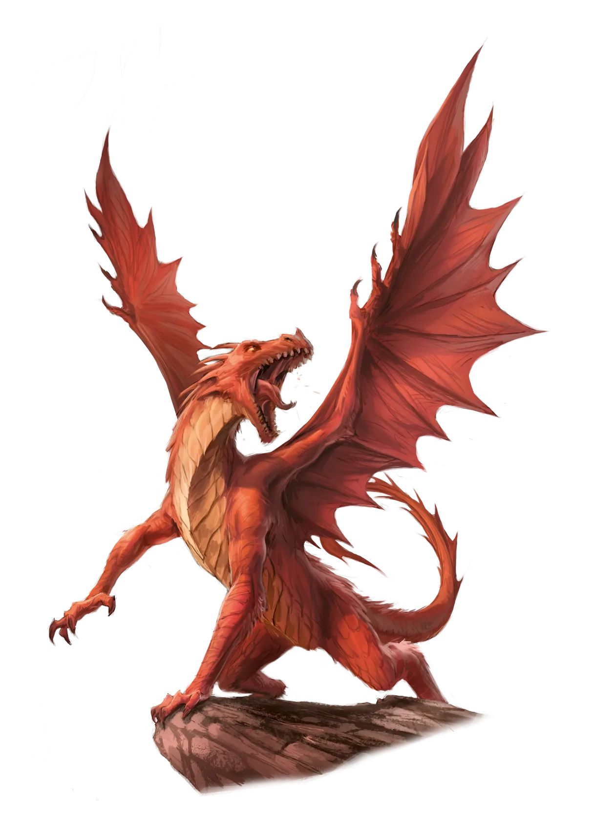 dragon-red-young.webp#.webp