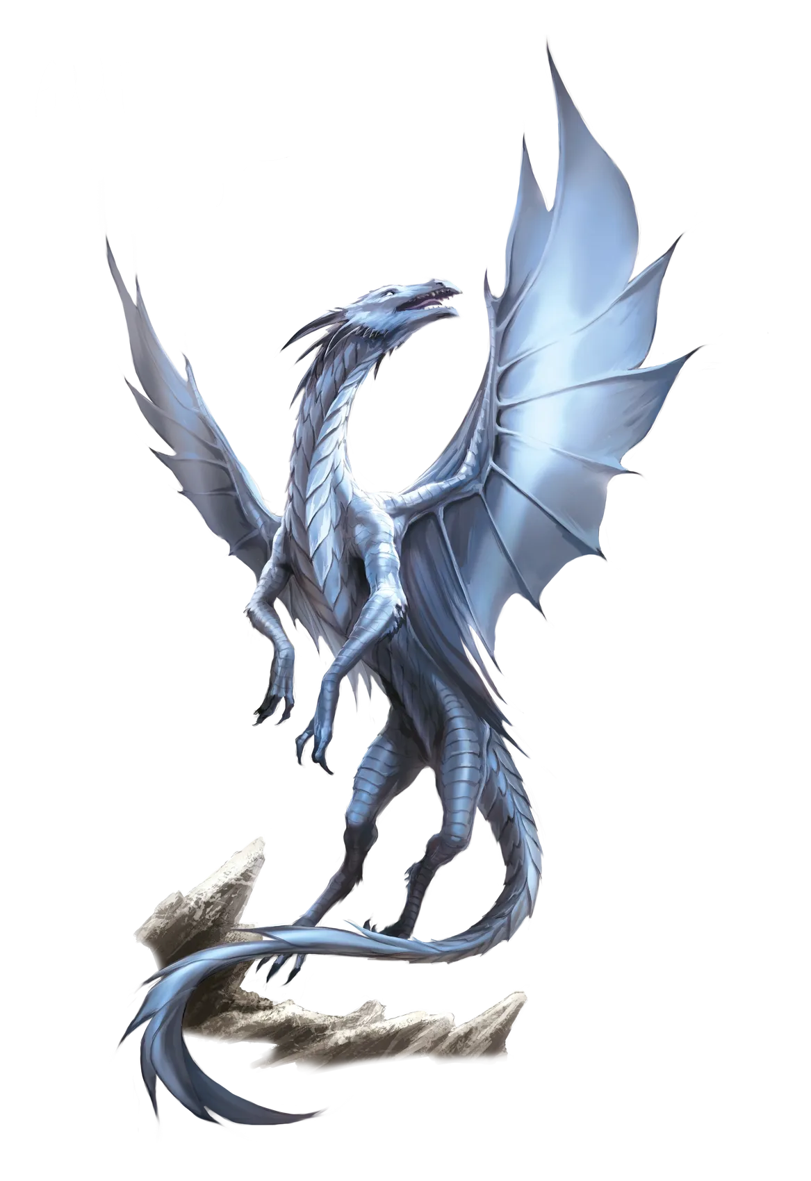 dragon-silver-adult.webp#.webp