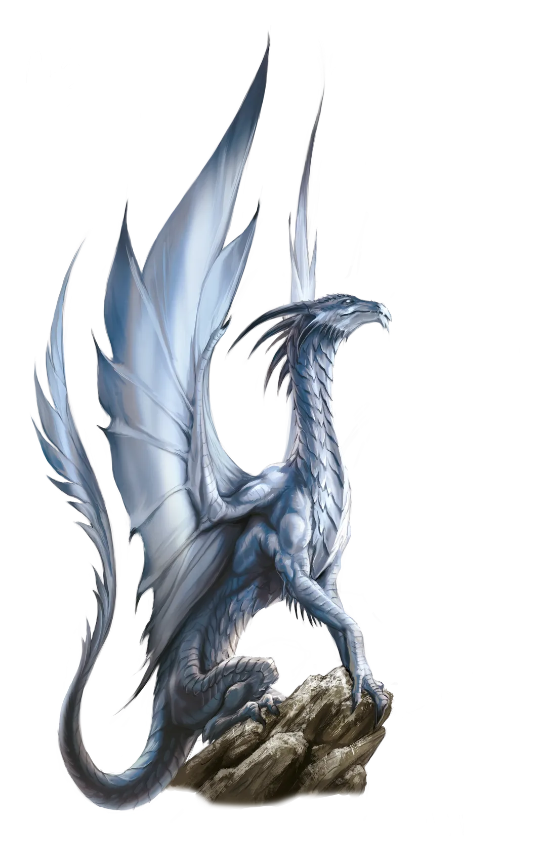 dragon-silver-ancient.webp#.webp