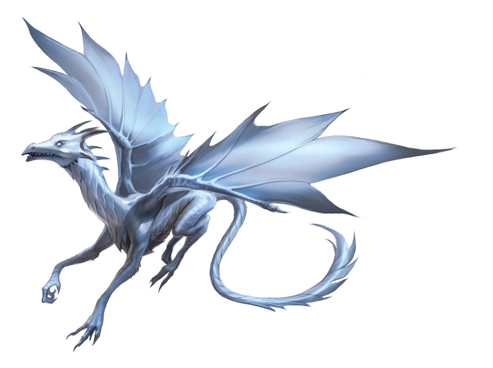dragon-silver-young.webp#.webp