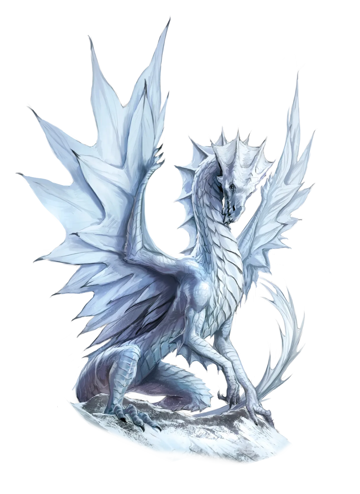dragon-white-adult.webp#.webp