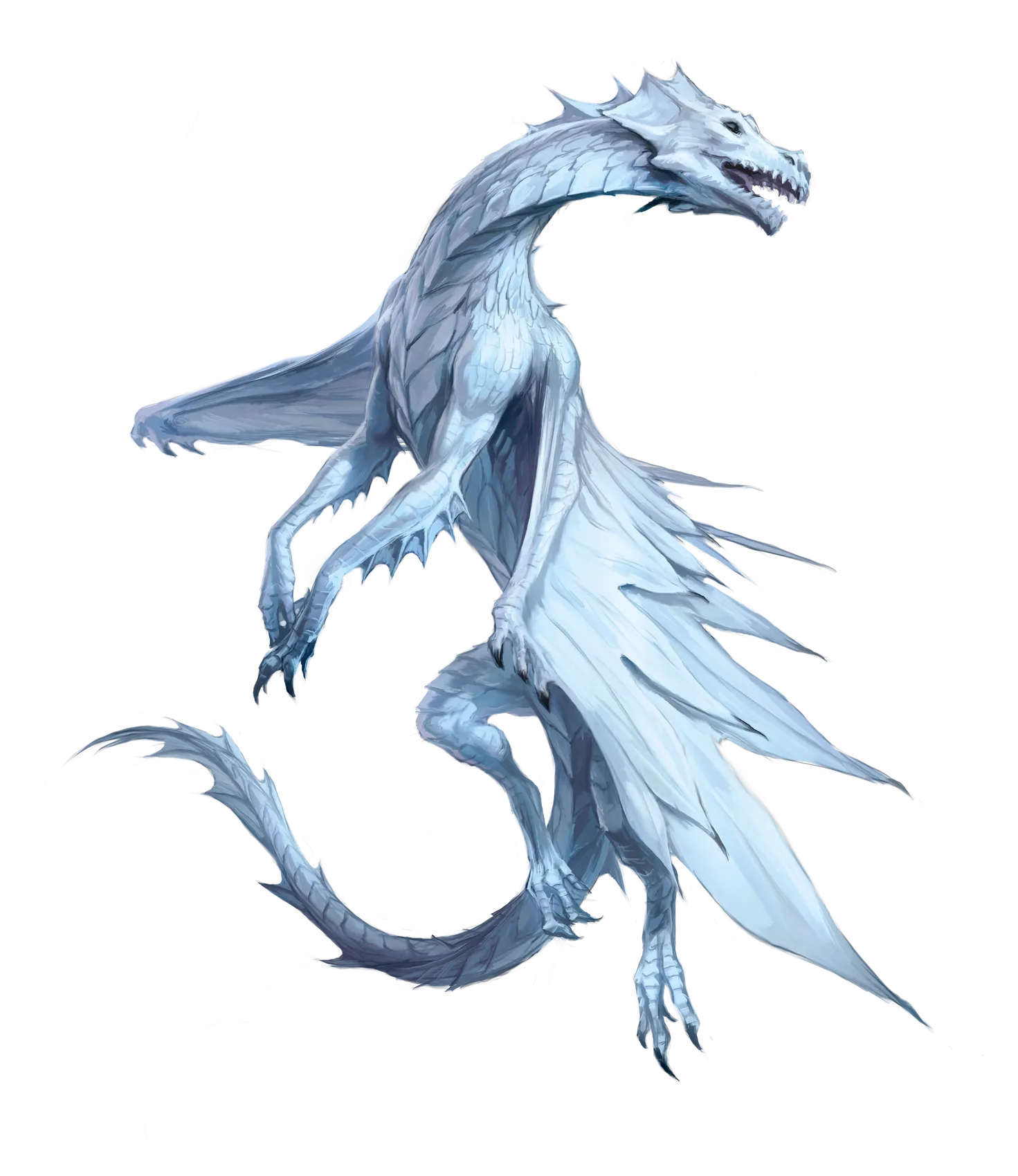 dragon-white-young.webp#.webp