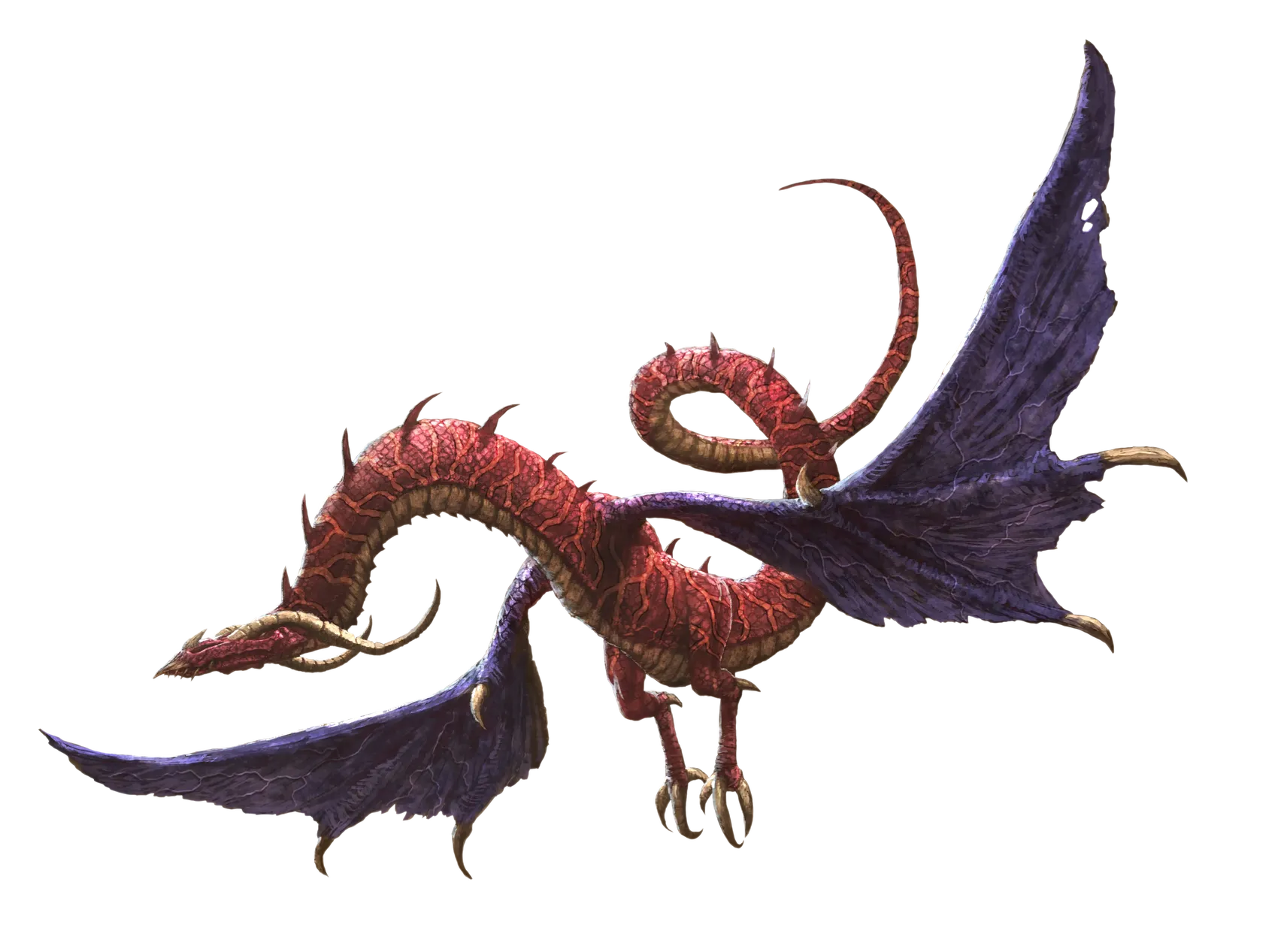 desert-drake.webp#.webp