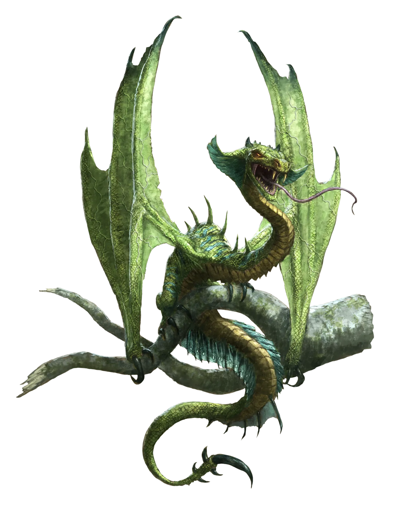 jungle-drake.webp#.webp