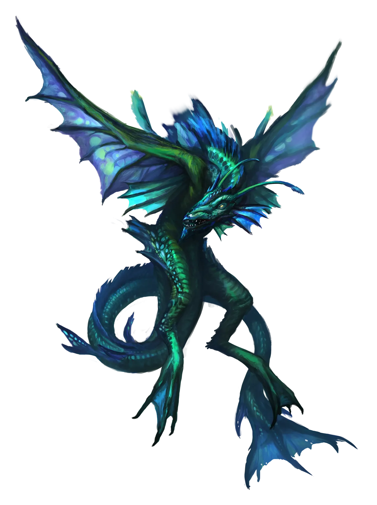 sea-drake.webp#.webp