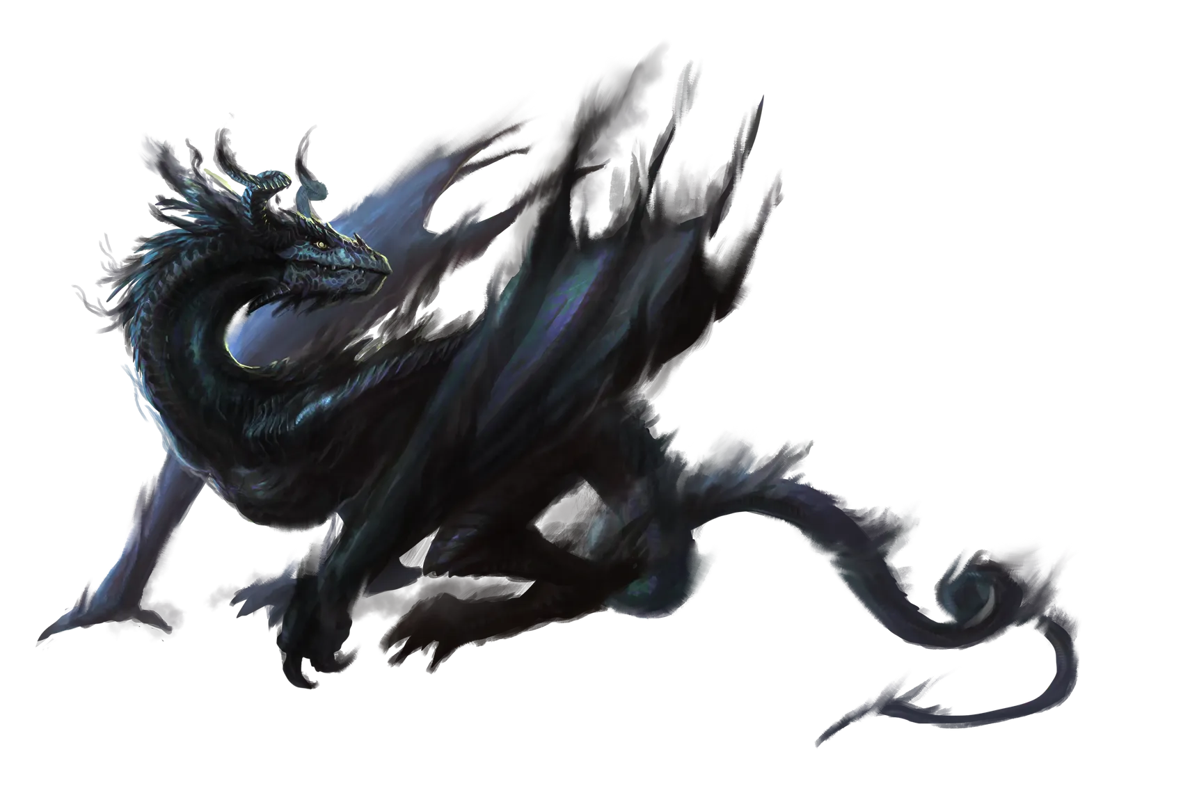 shadow-drake.webp#.webp