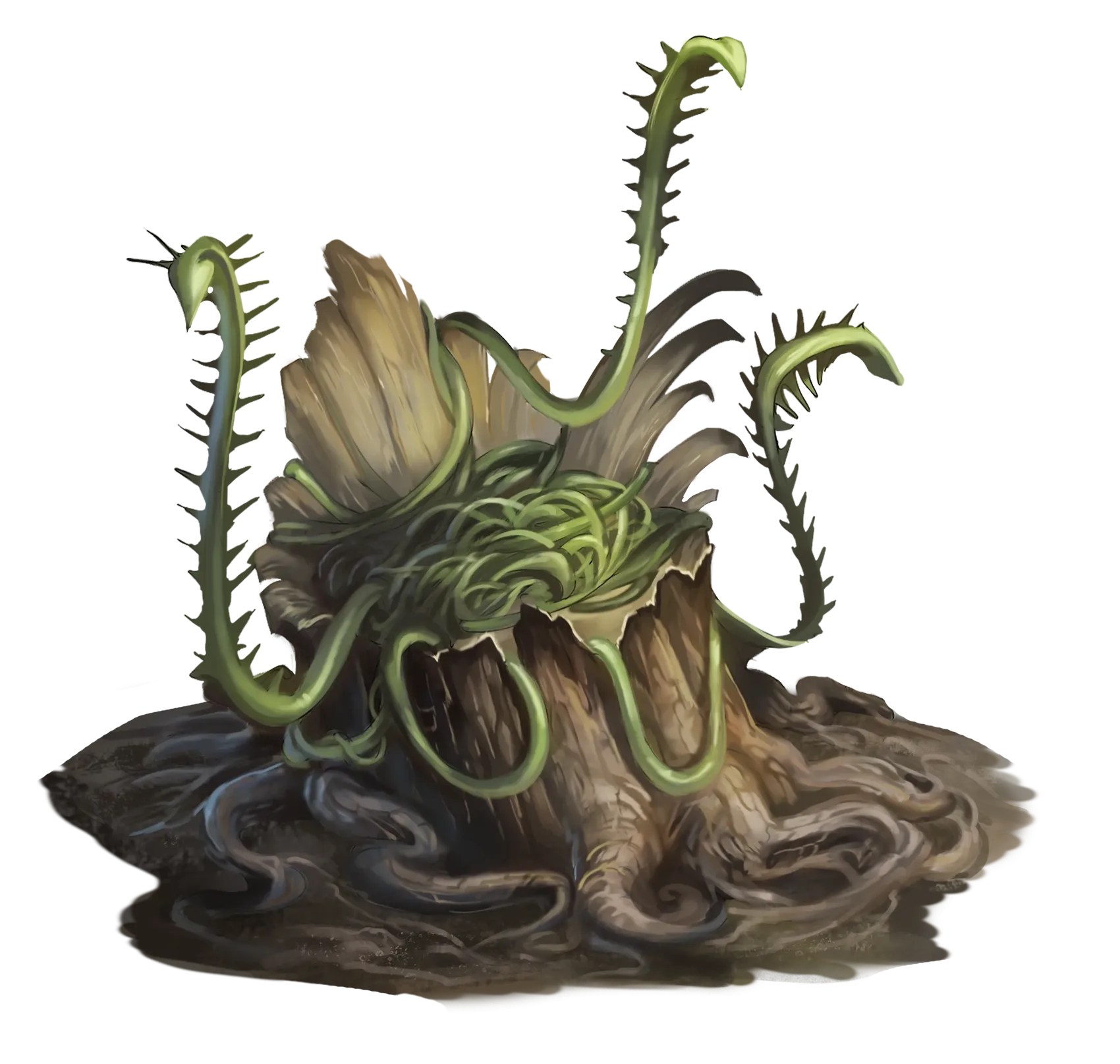assassin-vine.webp#.webp