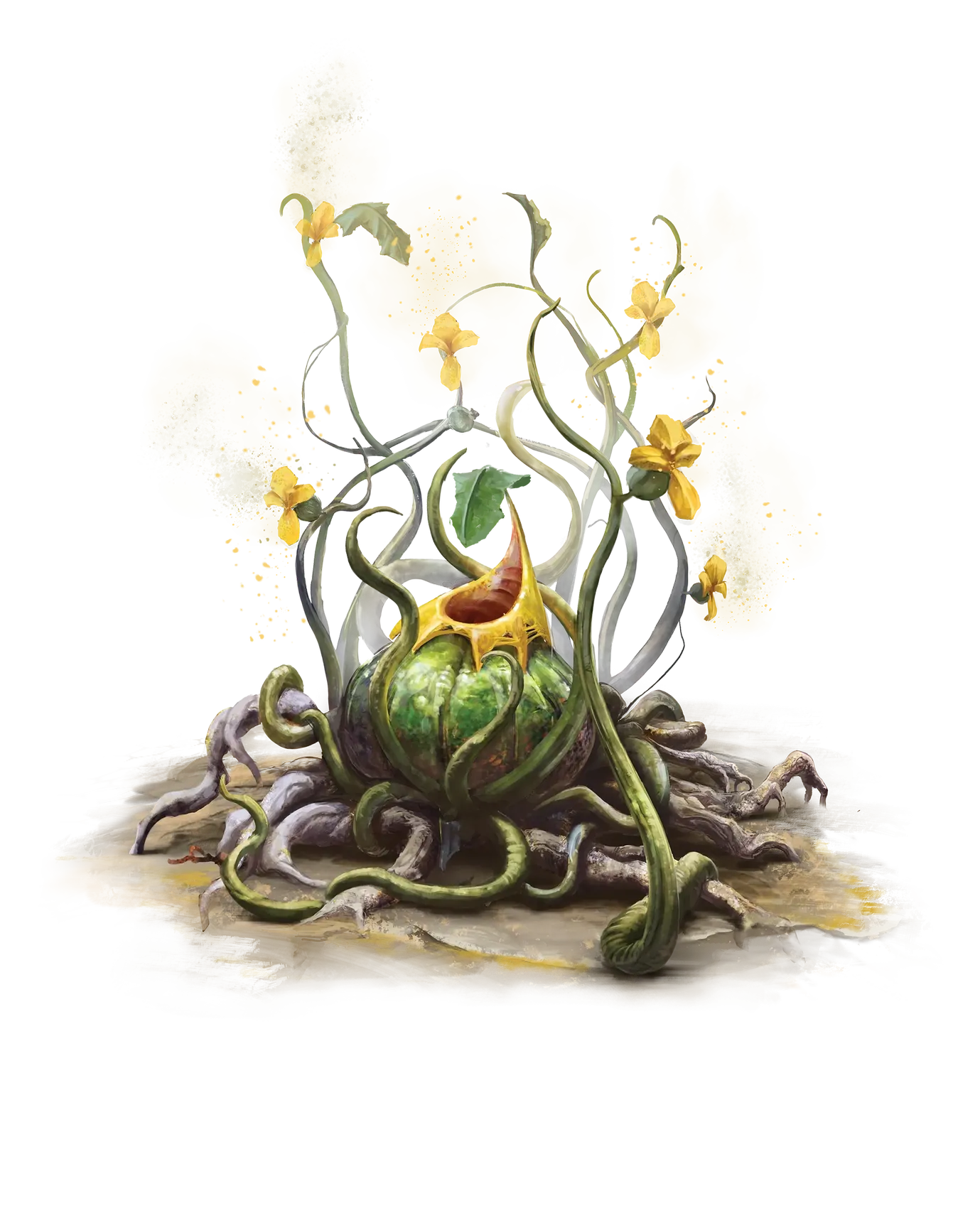 Yellow Musk Creeper
