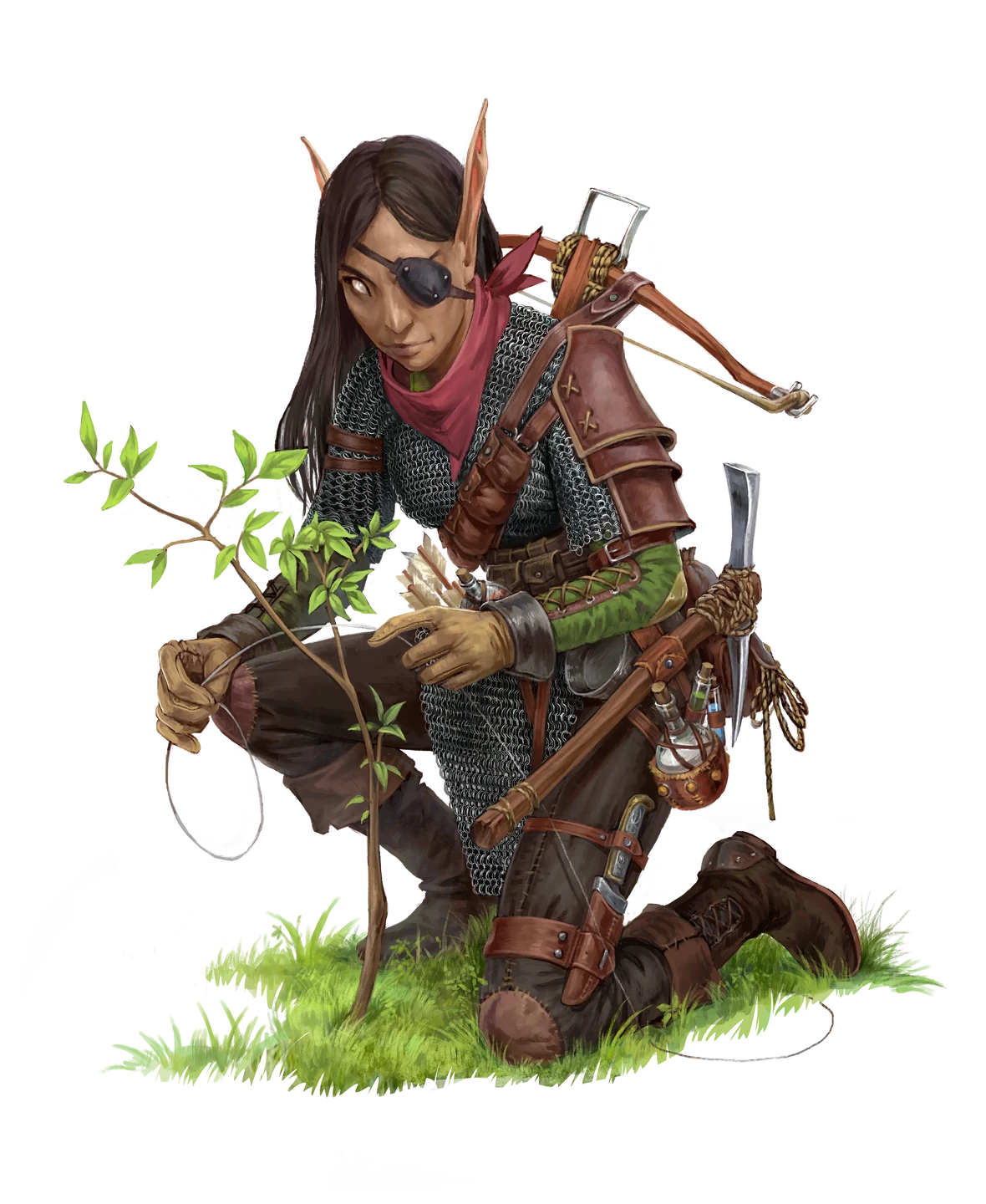 pc-elven-ranger.webp#.webp